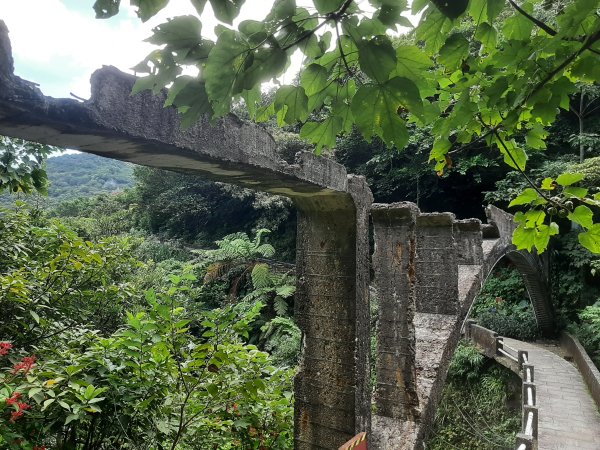 金瓜石，與奈良美智的詩意邂逅2883180