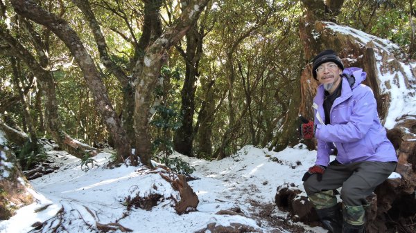 大台北第一高2130M - 塔曼山追雪1236156