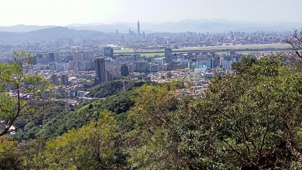 【台北-臺灣百大必訪步道】金面山親山步道1255458