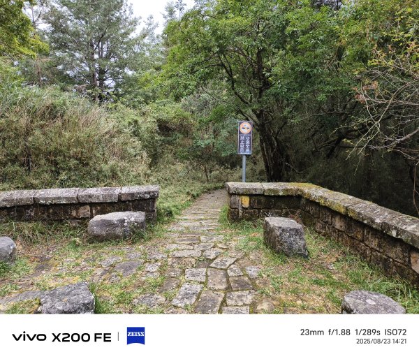 [玉山尋寶任務-05/12] 2025_0823 塔塔加步道(大鐵杉登山步道)2869645