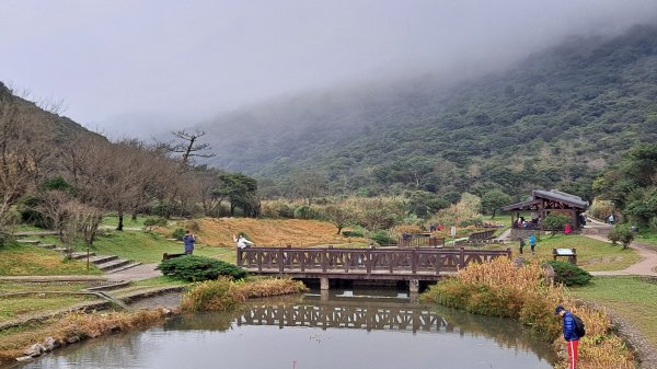 台北大縱走第一段1249216