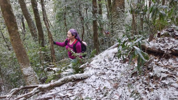 雪季北得拉曼2956464