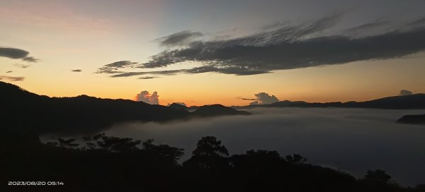 南山寺日出雲海&開眼崙雲霧飄渺大觀音圈8/202255846