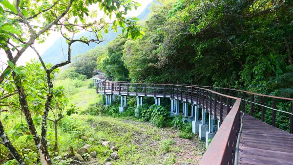 洄瀾東海岸3006753
