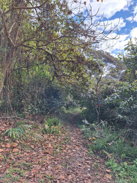 仙山古道群峰O型2693637