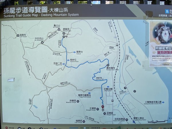 2025微笑山線大縱走尋寶集章任務-Ep.02【大棟山系】百年大榕樹2882262