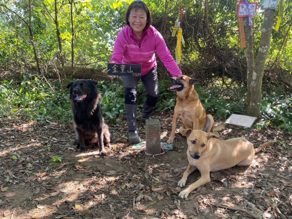 苗栗金童山、玉女山、汶水山2672909