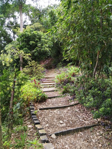 挑戰1063階的木棧階梯。 新田登山步道776933