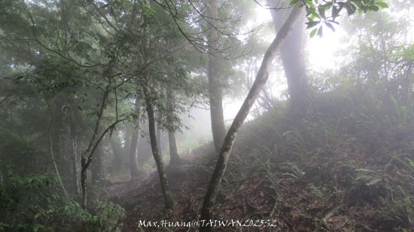 《雲林》望好望角｜石壁山嘉南雲峰步道(中側登山口）202506072805508