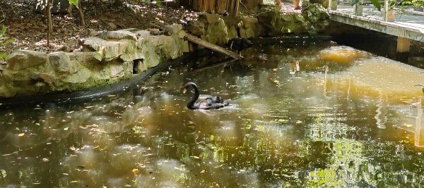 杭州動物園3089145