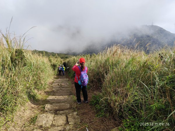 【臺北大縱走 2】【第二回合全程完成證書】鞍部→大屯山步道→大屯山主峰→大屯坪步道→二子坪步道2960352