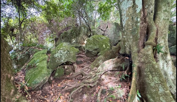 大艽芎古道縱走 新/溪州山(小百岳#23) 出溪州公園2893991
