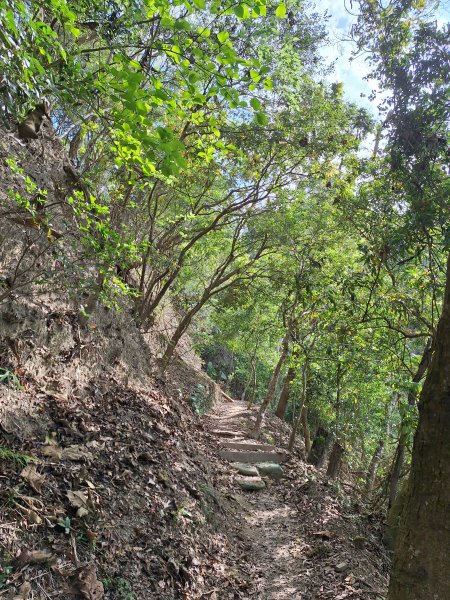 南化鈺鼎步道上糖子恩山+北峰202503152736905