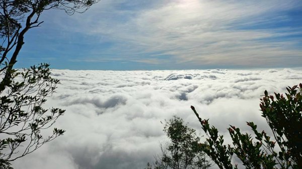 20251106北大武山步道☁️ 喜多麗雲海2931346