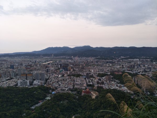 南港山縱走親山步道(拇指山、南港山、象山、九五峰)1820281