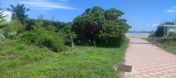 青灣仙人掌公園2872090