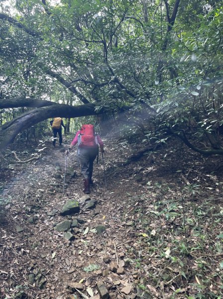 雪山尾稜北段2728627