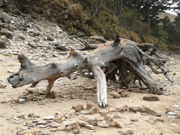 巴庫拉斯，七彩湖1339120