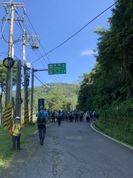 20250816嘉義鼠眉毛O繞2864061