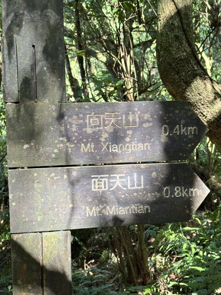 面天山、向天山、向天池2921042