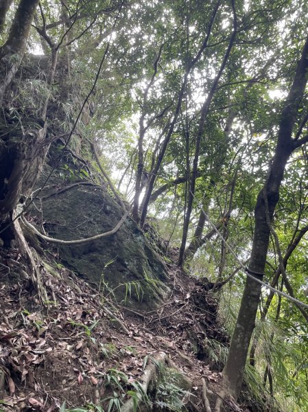 石笋古道O型2553819