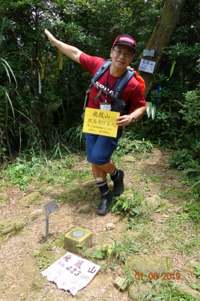 20190601_飛鳳山中坑山835944