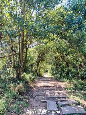 【新北中和】小百岳~烘爐地登山步道 (南勢角山)2950584