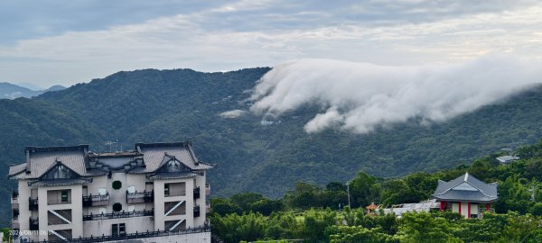 #雲瀑 #藍腹鷴 8/113101497