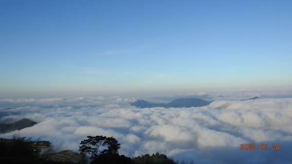 最高小百岳-大塔山2663M&阿里山二延平步道1775020