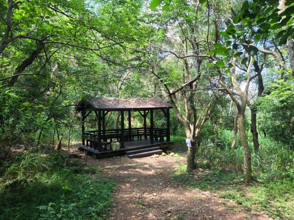 大肚環保公園3081849