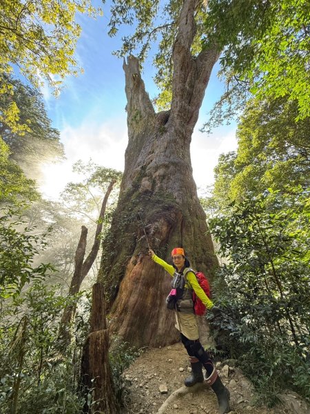 北得拉曼-內鳥嘴山2664601