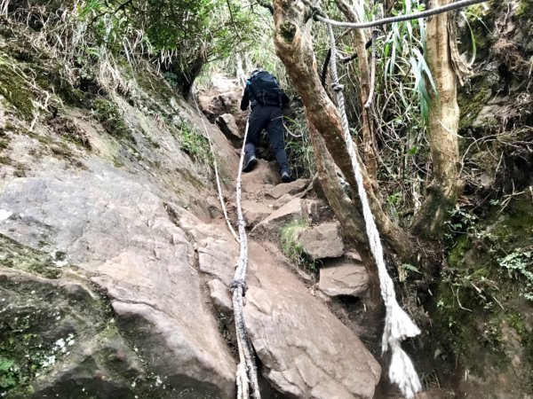 搭過山車飛越哈加縱走1132975