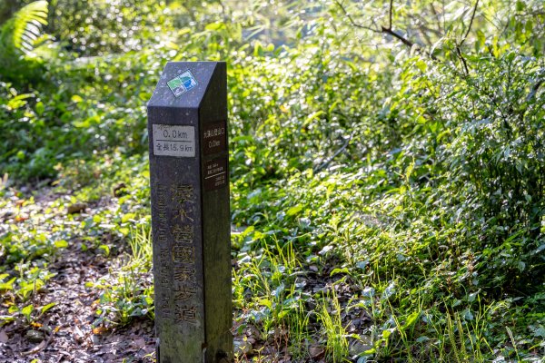 浸水營古道：橫跨中央山脈的百年古徑1897512