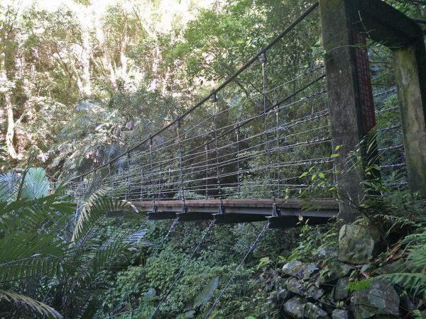 東卯山東南稜串德芙蘭步道364260