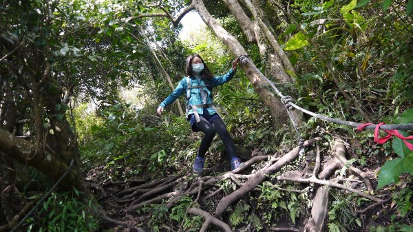觀音山登山健行趣(小百岳05號)1632392