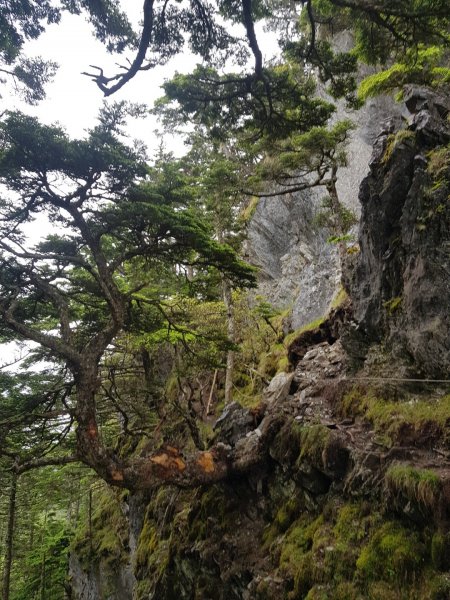 畢羊縱走-畢祿山羊頭山（百岳×9、10）1000571