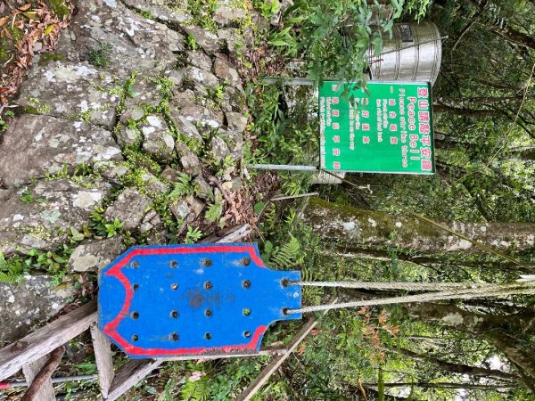 20250503_李棟山步道（新竹小百岳）2855864