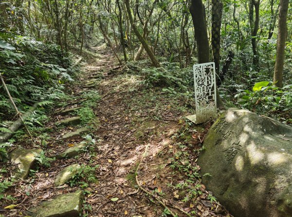[淡蘭古道] 2026_0502 北路第二段_雞母嶺古道3047952