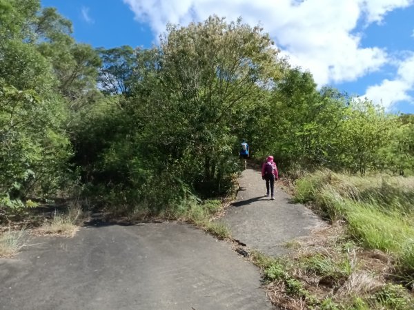 頭份鎮鹿廚坑步道+鹿廚坑山2937996
