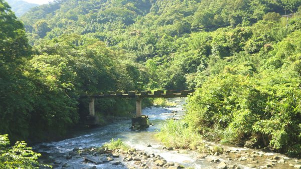 【淡蘭中路】翻山越嶺的茶商之道981240