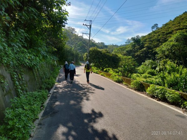 [新竹芎林]石吼子越嶺山徑(初訪)1436271