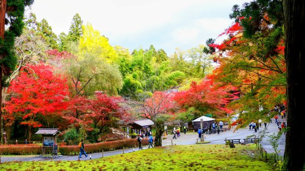 岩手縣中尊寺2930161