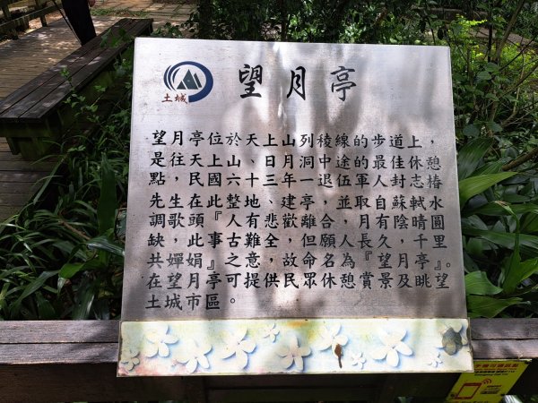 2026微笑山線望月亭桐花段3103861