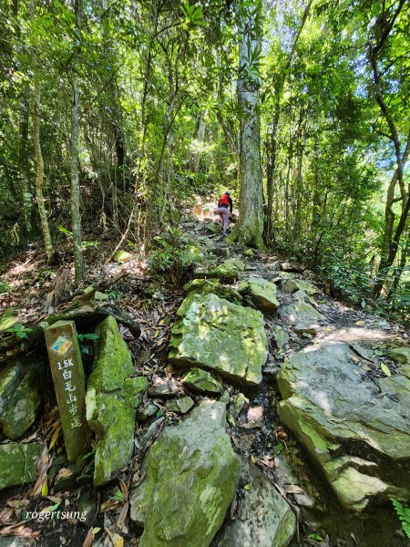 盛夏登山汗淋漓，天梯遠眺歡顏展(谷關七雄-白毛山)2206255