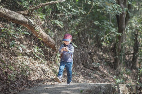 橫山步道-四歲小樂的第35座小百岳1272364