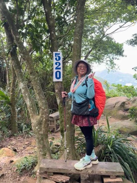 大艽芎古道縱走 新/溪州山(小百岳#23) 出溪州公園2893891