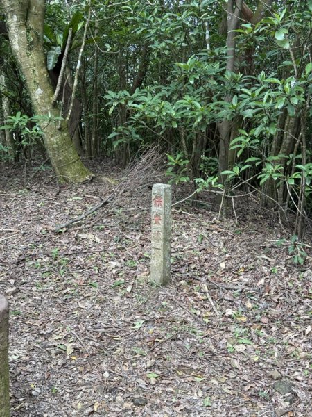 2025/03/12 大溪 桃源谷 灣坑頭山 大里2930531