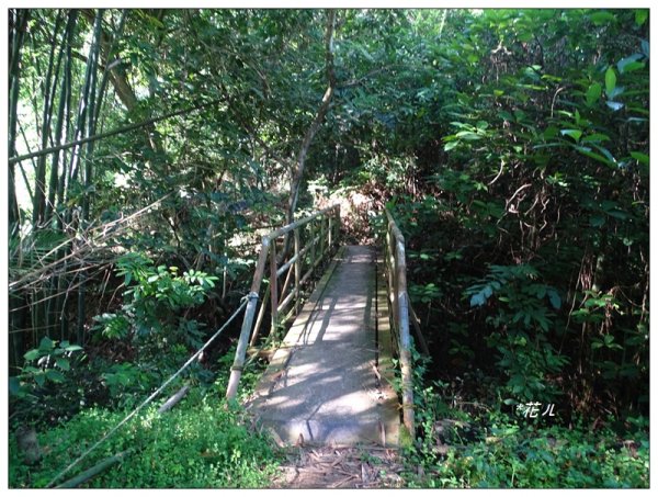 大坑/觀音山(小百岳)632371