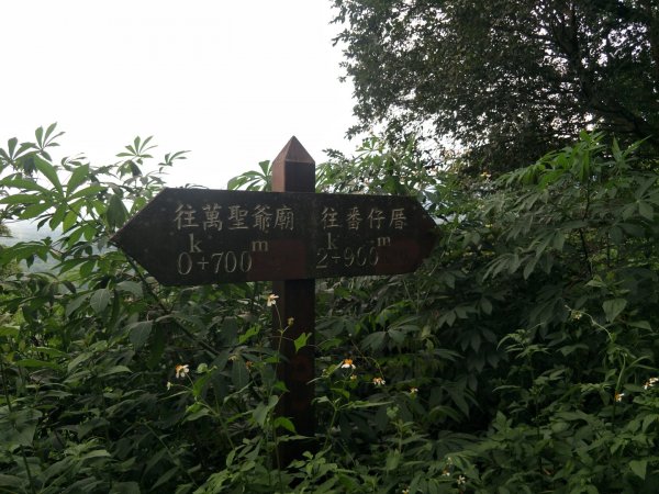 林安森林公園步道(大寮山步道)1464926