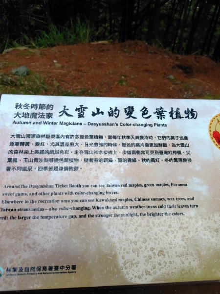 稍來小雪山國家步道、船型山、鞍馬山、鞍馬山東北峰、天池、雪山神木2799947